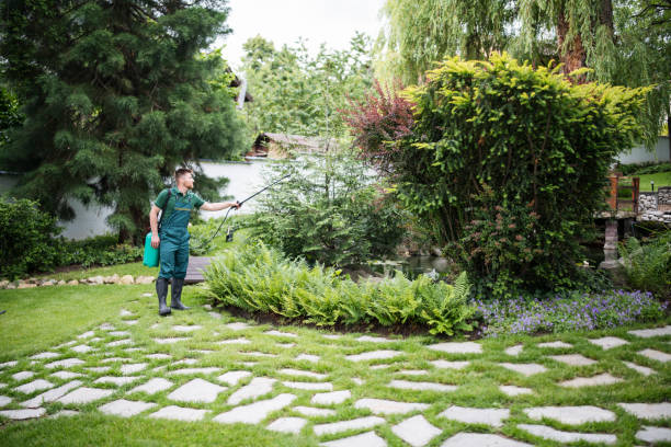 Best Insect Control  in Rainbow Lakes Estates, FL