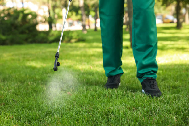 Best Pest Prevention Services  in Rainbow Lakes Estates, FL
