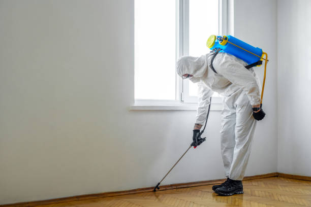 Best Commercial Pest Control Services  in Rainbow Lakes Estates, FL