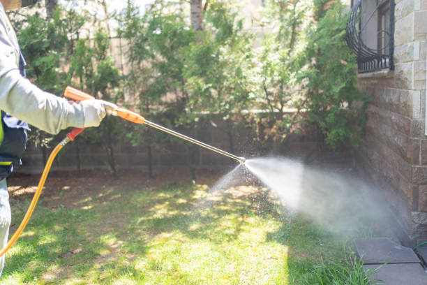 Best Rodent Control Near Me  in Rainbow Lakes Estates, FL